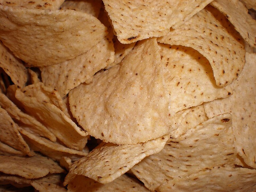 Homemade Tortilla Chips