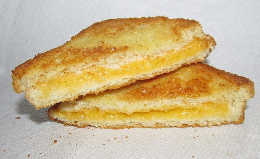 Microwave Quesadilla