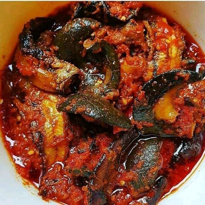 Nigerian Peppered Snail