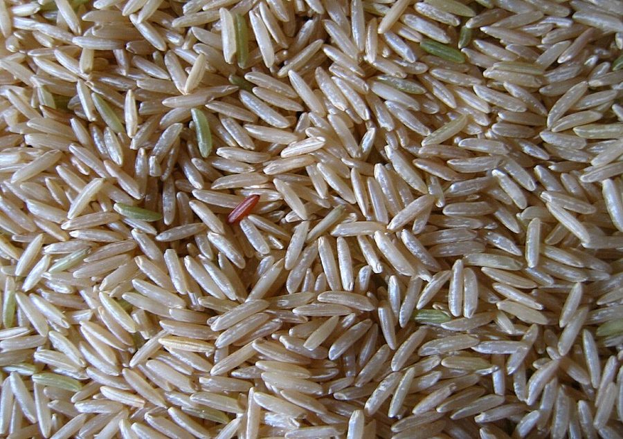 Steamed Basmati Rice