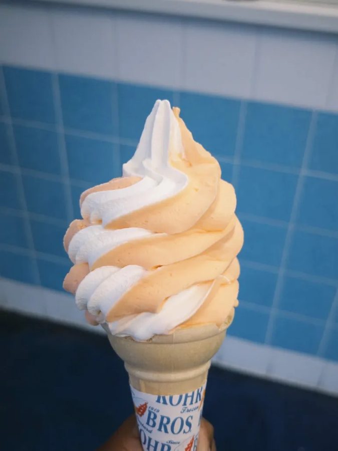 Strawberry Frozen Yogurt